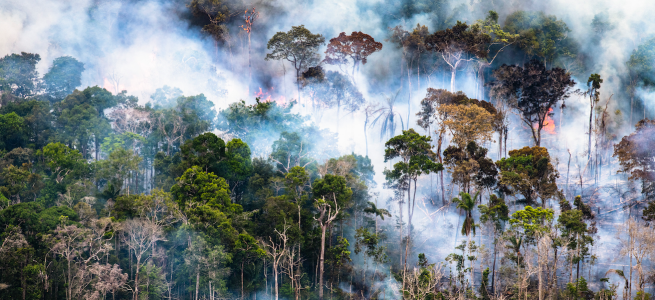 Image: Daniel Beltrá, Amazon rainforest burns (#260), 2018. An aerial view of the Amazonn Rainforest on fire.